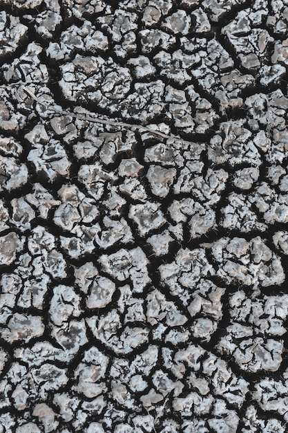 Suelo roto en el medio ambiente de las Pampas Patagonia Argentina