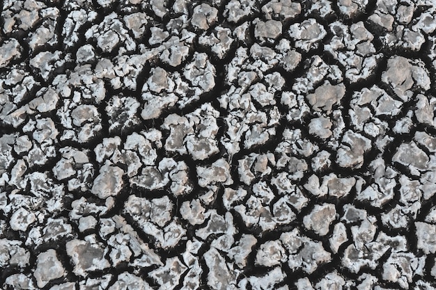 Suelo roto en el medio ambiente de las Pampas Patagonia Argentina