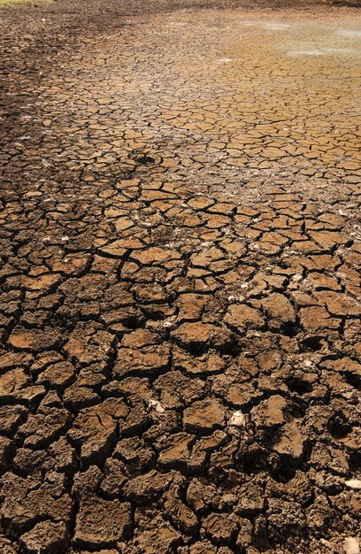 Suelo seco y agrietado causado por la sequía en Paraíba, Brasil. Cambio climático y crisis del agua.