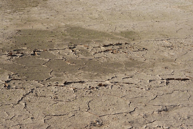 Suelo seco agrietado por sequía falta de agua en la agricultura