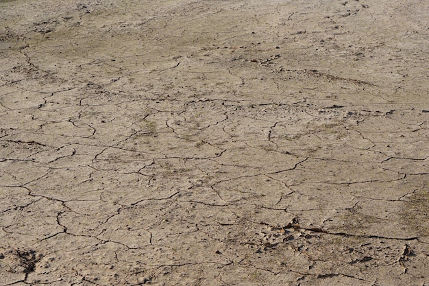 Suelo seco agrietado por sequía falta de agua en la agricultura