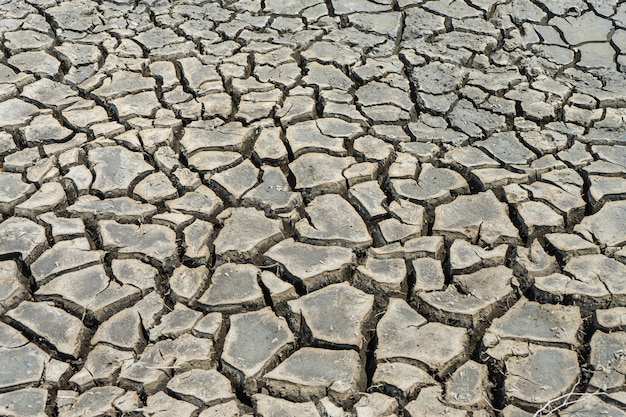 Foto suelo seco agrietado en zona árida