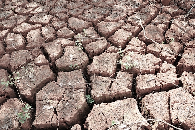 Suelo seco agrietado