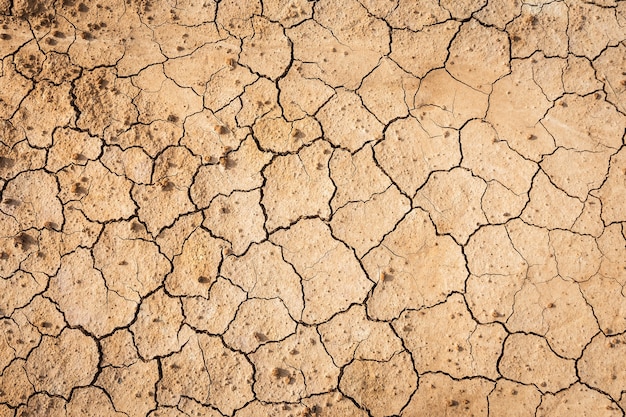 Suelo seco de Brown o fondo de tierra agrietado de la textura.