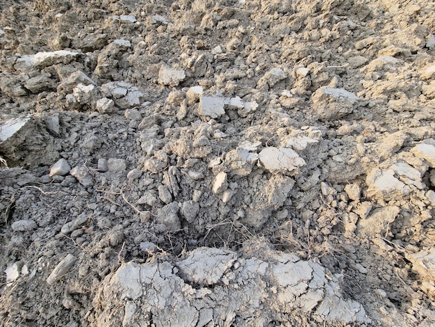 Suelo seco en el campo de cultivo