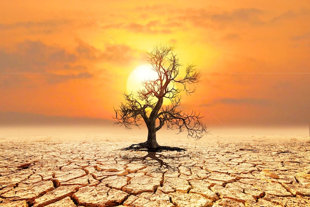 Foto el suelo está seco la lluvia no cayó durante mucho tiempo debido al calentamiento global concepto de calentamiento global y cambio climático medio ambiente