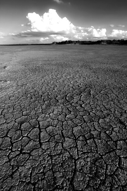 Foto suelo seco roto en una laguna pampeana provincia de la pampa patagonia argentina