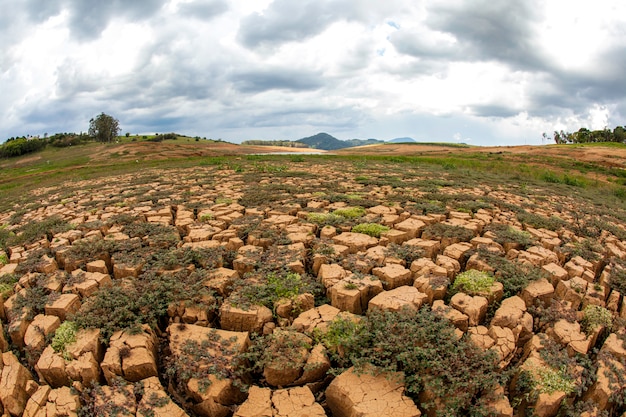 Foto suelo de sequía en presa cantareira brasileña