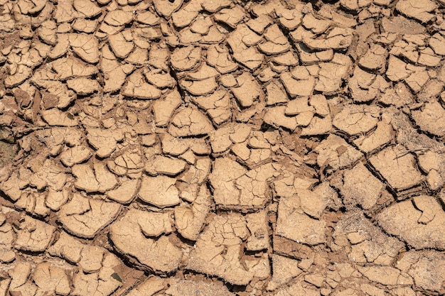 Suelo de tierra agrietada seca del calentamiento global