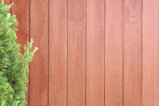 Los suelos de madera marrones forman una pared.