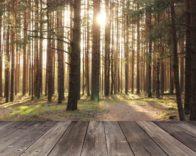 Suelos de madera vacíos en bosque borroso.