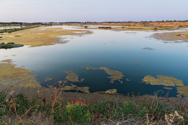 Sümpfe. Panorama des nationalen Naturreservats der Insel Lilleau des Niges R. Les Portes France