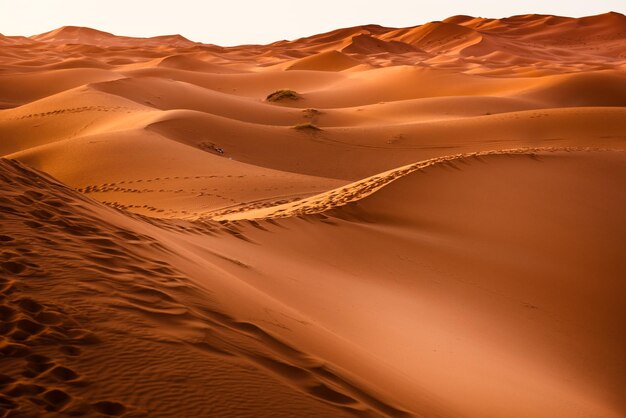 Sueños del paisaje dunes Explorando la belleza árida de las dunas de arena del desierto