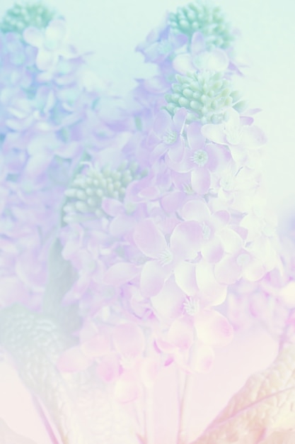 Süß und Pastell Farbe Orchidee Blume