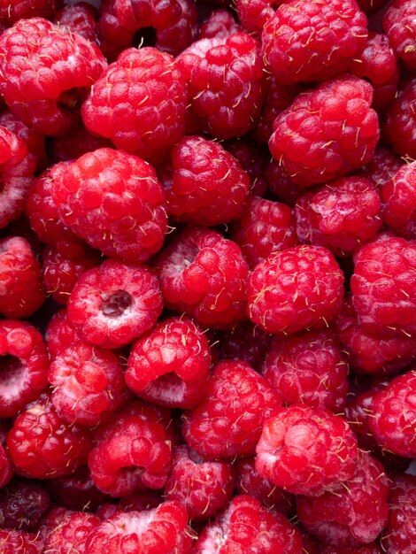 Süße frische appetitliche Himbeeren