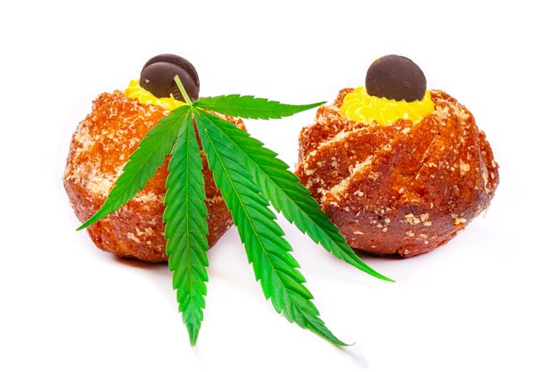 Süße frische Muffins mit Cannabisöl, Süßigkeiten mit Marihuana lokalisiert auf weißer Wand.