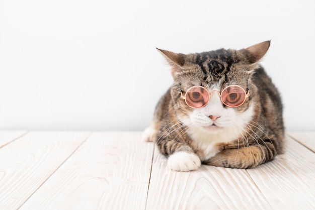 süße graue Katze mit Brille