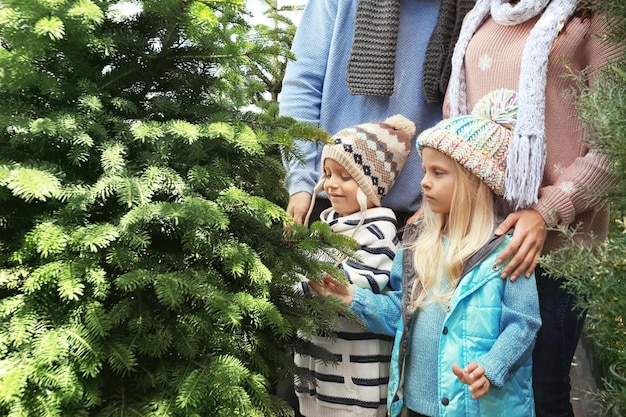 Süße Kinder und Eltern auf dem Weihnachtsbaummarkt