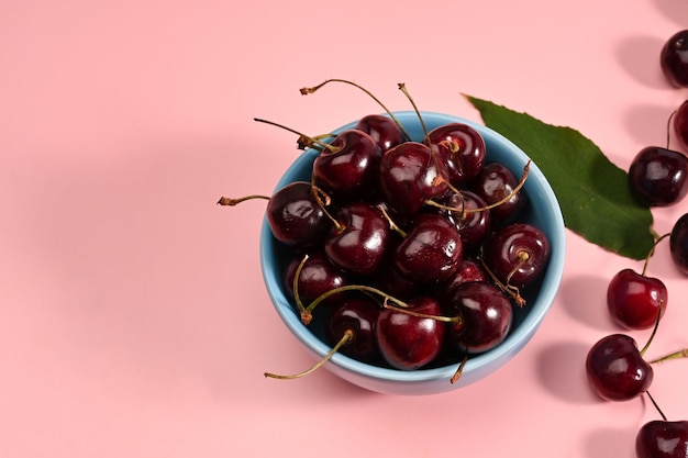 Süße Kirschschüssel mit Blättern auf rosa Hintergrund