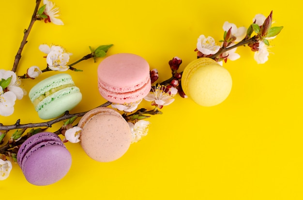 Süße macarons oder Makronen verziert mit blühenden Aprikosenblumen auf hellem Gelb