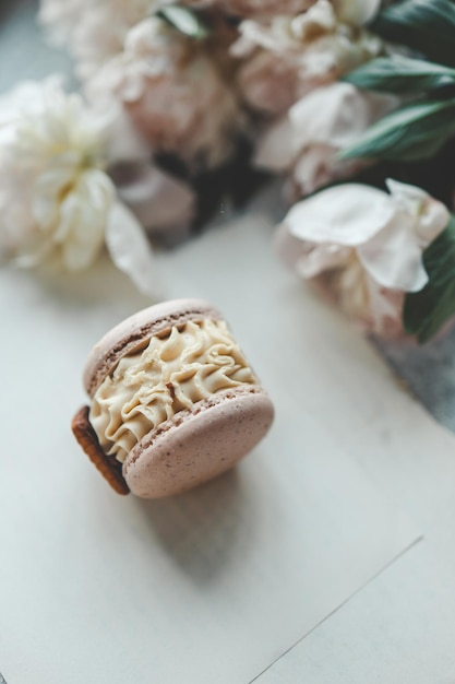 Süße Macarons und weiße Pfingstrosen, schönes Foto