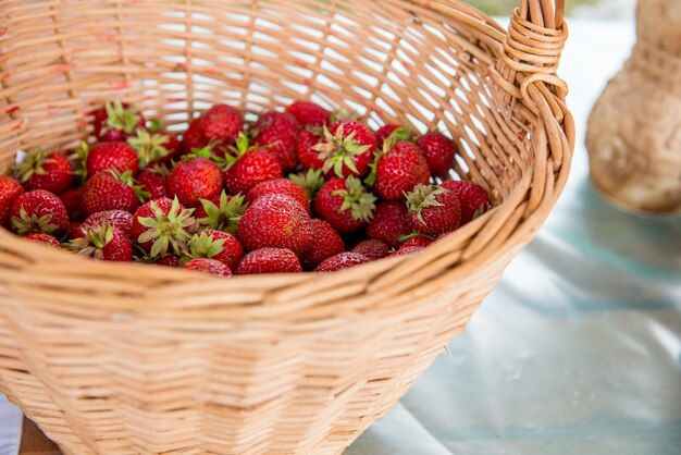 süße, reife Erdbeeren sind im Korb