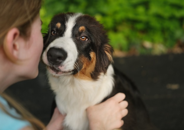 Süße Teenager-Mädchen Kuss Umarmung Australian Shepherd drei Farben Hündchen im Sommerpark