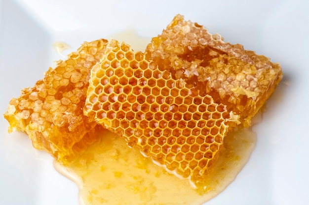 Süße Wabe isoliert auf weißen Bienenprodukten mit Konzept aus biologischen natürlichen Zutaten