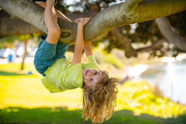 Süßer blonder Junge hängt an einem Baumzweig Sommerferien kleiner Junge, der verkehrt herum auf einen Baum klettert