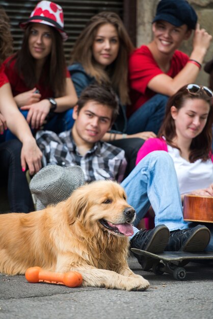 Süßer Hund auf der Straße