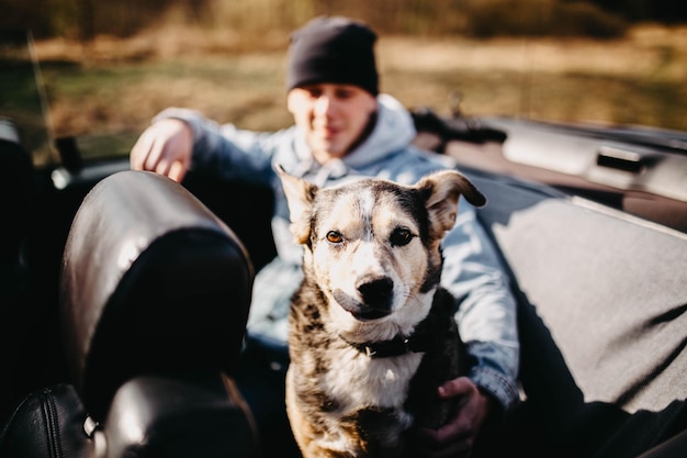 süßer hund, der im umwandelbaren auto reist