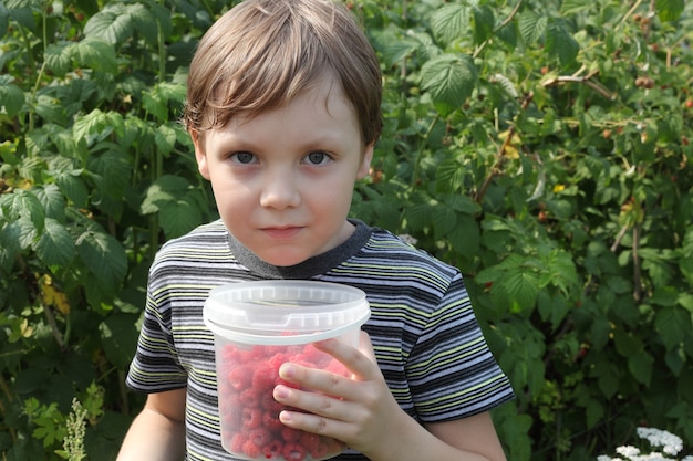 Süßer kleiner Junge mit Himbeeren