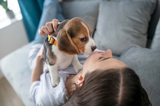 Süßer kleiner Welpe, der ernst aussieht, während sein Besitzer mit ihm spielt