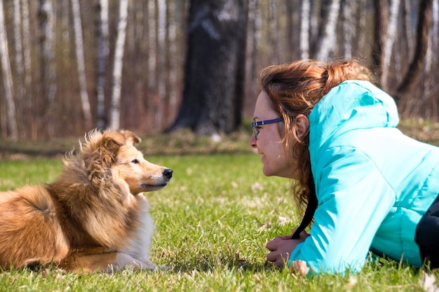 Süßer Sheltie auf dem Rasen mit dem Besitzer