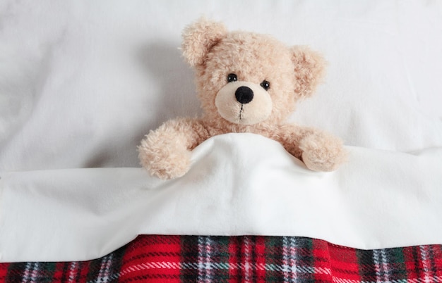 Süßer Teddy bedeckt mit einer warmen Decke, die im Bett liegt