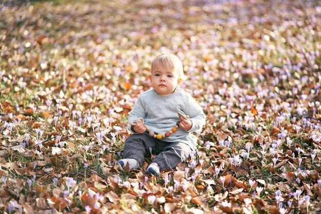 Süßes Baby in blauem Pullover und grauer Hose sitzt auf gefallenen Blättern und hält eine Rassel in den Händen