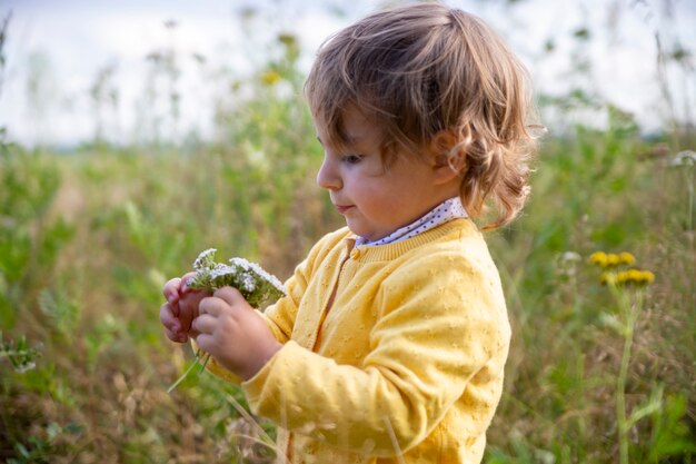 Süßes entzückendes Kleinkind in einem gelben Pullover untersucht Blumen auf dem Feld.