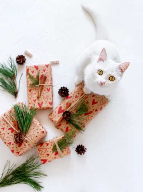 süßes Kätzchen neugierig und verspielt um verpackte Geschenke und Ornamente