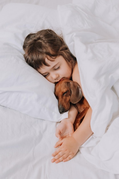 süßes kleines brünettes mädchen zu hause im bett mit einem braunen dachshundhund, der kuschelt und schläft. Hochwertig