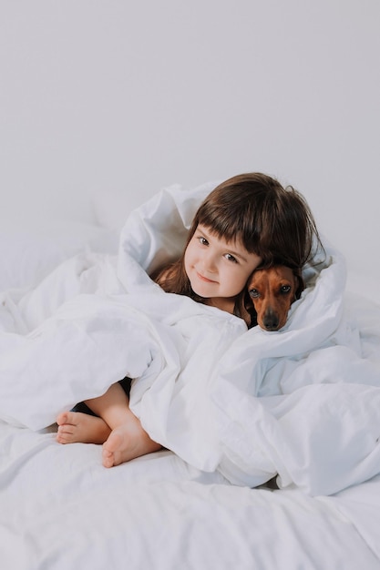 süßes kleines brünettes mädchen zu hause im bett mit einem braunen dachshundhund, der kuschelt und schläft