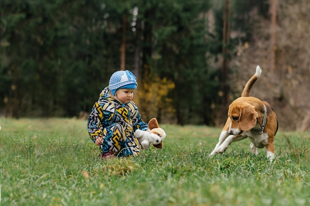 Süßes kleines Mädchen, das einen Spielzeughund hält und Beagle anschaut, der im Wald auf Gras liegt Kinder- und Haustierkonzept