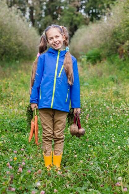 Süßes Mädchen hält Karotten und Rüben in ihren Händen, die im Garten ernten Frisch gepflücktes Bio