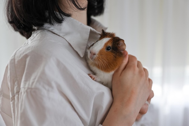 Süßes Meerschweinchen in den Armen des Mädchens, Kinder- und Tierkonzept