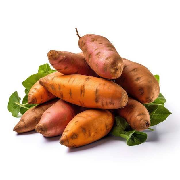 Süßkartoffeln Gemüse isoliert auf weißem Hintergrund