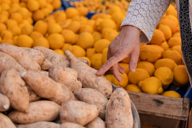 Süßkartoffeln namens Batata auf dem Tresenmarkt auf dem Hintergrund von Zitronen.