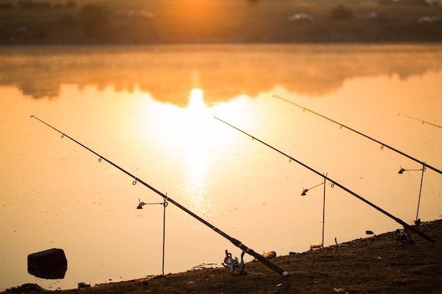 Süßwasserfischen mit Angelruten am Ufer des Teiches, See