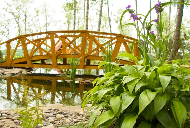 Süßwassersumpf mit Brücke