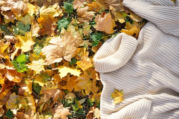 Suéter acogedor en hojas de otoño en el parque Vista superior