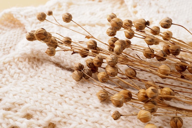 Suéter ligero de lana de punto con un ramo de primer plano de lino seco Tejidos naturales e hilos para el concepto de ropa Fondo de colección de moda de otoño Diseño de ropa para la tienda