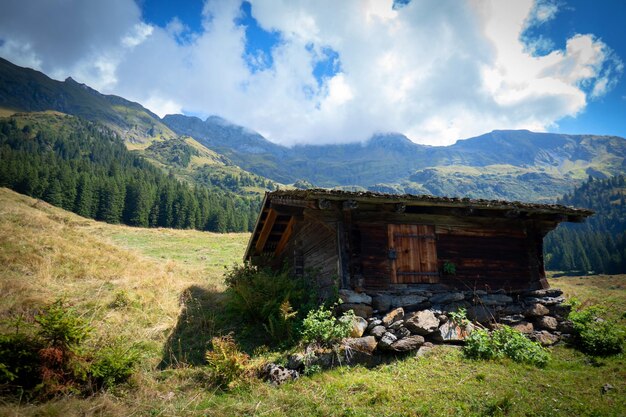 Suíça Genebra Europa Natureza